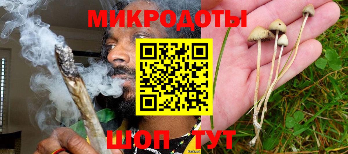 Псилоцибиновые грибы MAGIC MUSHROOMS  Вход с VPN  Менделеевск  Псилоцибиновые грибы мицелий 